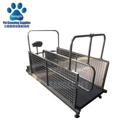 Treadmill Pelari Anjing Dengan Anjing Berganda