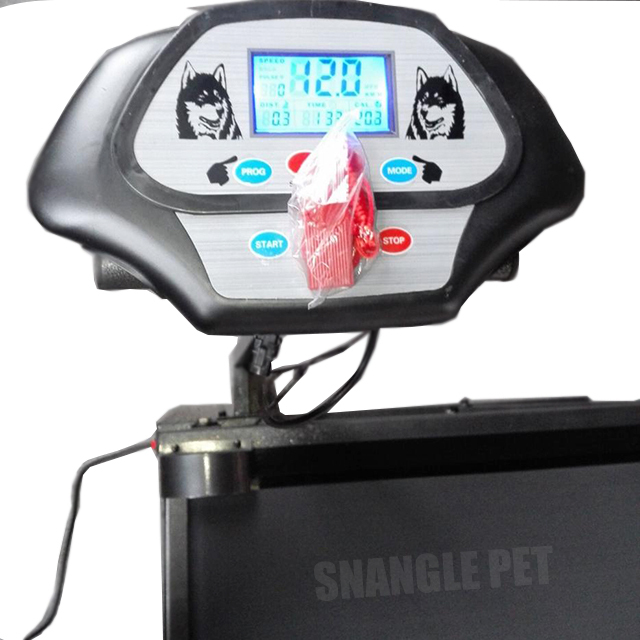 Treadmill Pelari Anjing Dengan Anjing Berganda