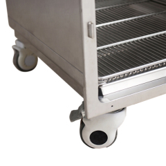 Ligne vétérinaire économique - Banque de cages en acier inoxydable pour soins vétérinaires et toilettage