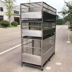 Ligne vétérinaire économique - Banque de cages en acier inoxydable pour soins vétérinaires et toilettage