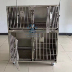 Gabbie veterinarie in acciaio inossidabile per ospedale veterinario
