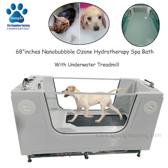 2024 Nuevo tipo de nanoburbuja para mascotas, spa, bañera con acceso para personas con discapacidad y cinta de correr subacuática
