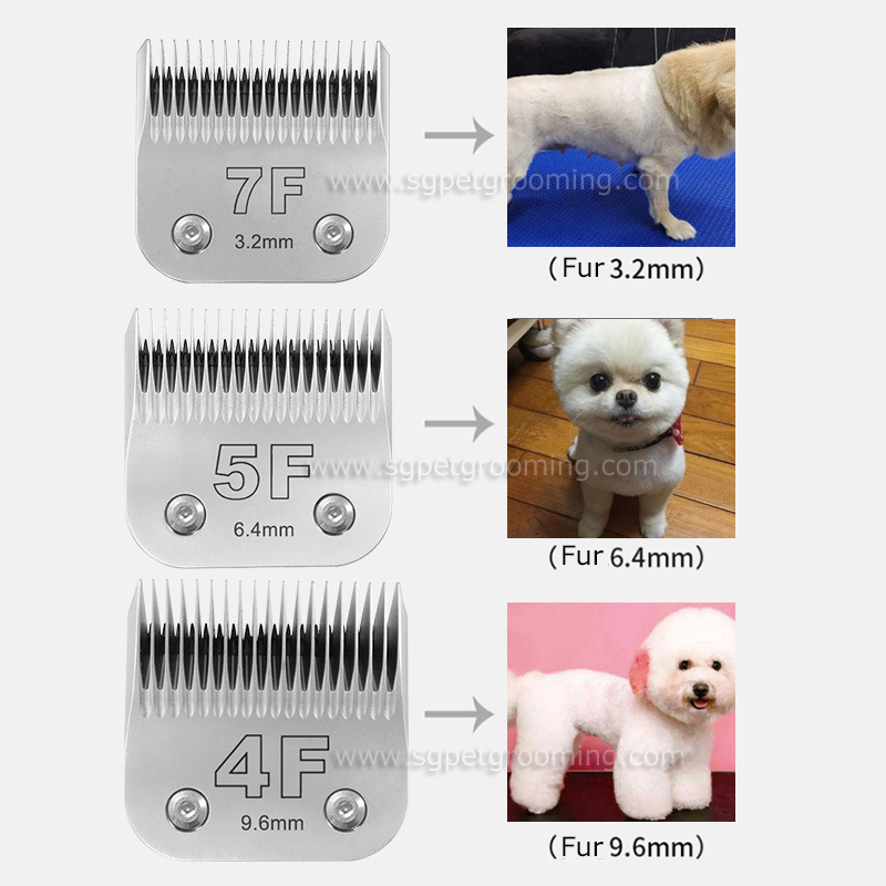 Máquina de tosquiar profissional para animais de estimação com lâmina de titânio e cabeça de corte de alta qualidade.