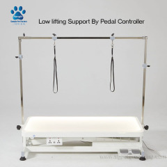 Mesa de aseo para mascotas con luz LED variable y elevación eléctrica