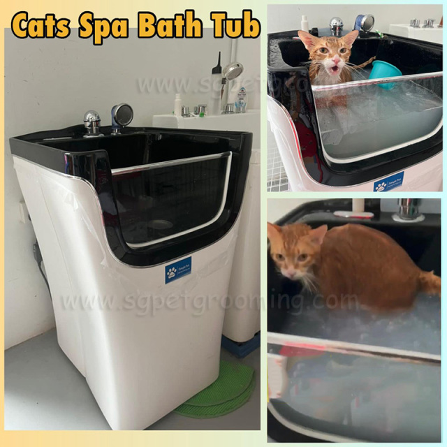 고양이 목욕용 휴대용 소형 스파 욕조