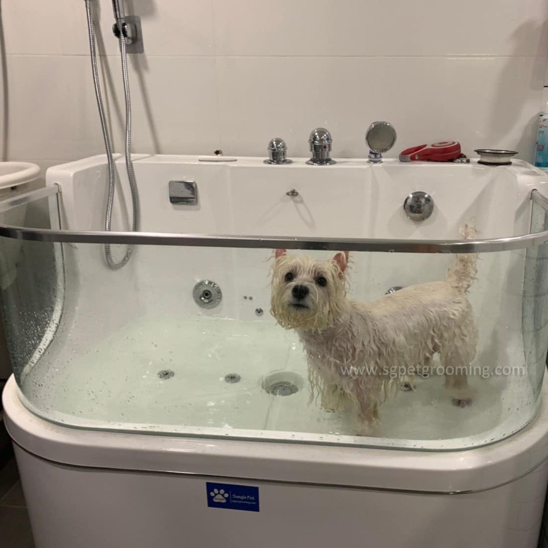 Bak Mandi Spa Anjing Bergaya dengan Panel Kaca Penuh