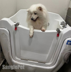 Spa Ozon Gelembung Anjing Besar Berjalan Kaki Mandian