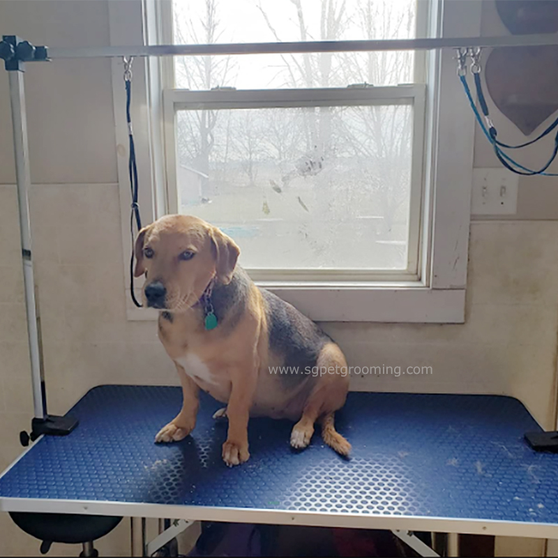 Tavolo pieghevole per toelettatura animali domestici con braccio tipo H
