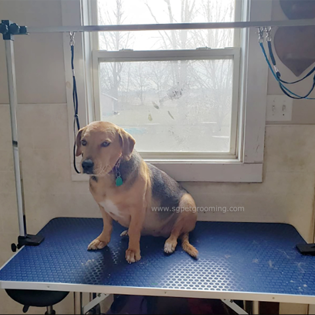 Klappbarer Haustierpflegetisch mit H-förmigem Tischarm