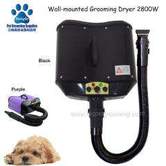 Pengering Rambut Haiwan Peliharaan yang Dipasang di Dinding Motor Berganda 2800W