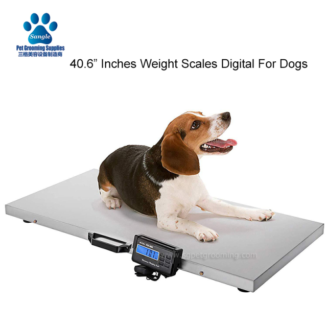 대형견용 디지털 체중계