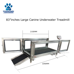 반려견용 수중 수치료 러닝머신 판매합니다