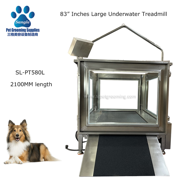 반려견용 수중 수치료 러닝머신 판매합니다
