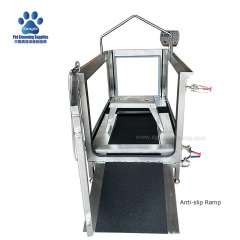 Tapis roulant per la riabilitazione di grandi animali domestici con nastro trasportatore largo 600 mm