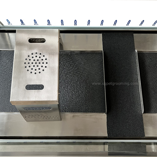 TAPIS ROULANT PER RIABILITAZIONE ACQUATICA DA 58 POLLICI PER CANI