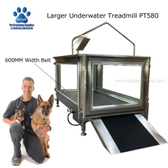 Tapis roulant per la riabilitazione di grandi animali domestici con nastro trasportatore largo 600 mm