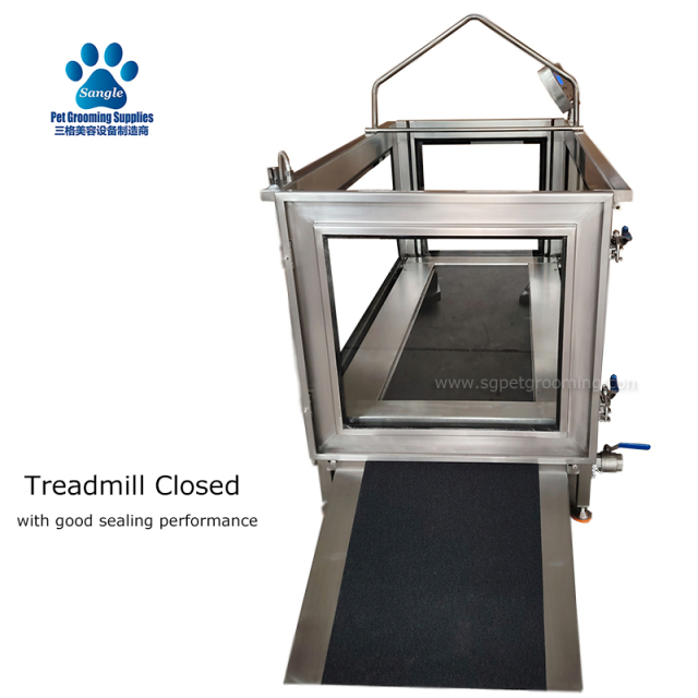 Tapis roulant per la riabilitazione di grandi animali domestici con nastro trasportatore largo 600 mm