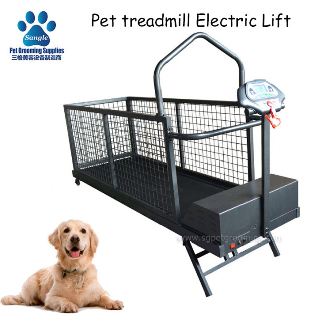 애완동물용 전동 런닝머신 베스트셀러 (한쪽 방향 리프트 기능 포함)