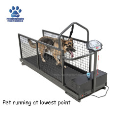 애완동물용 전동 런닝머신 베스트셀러 (한쪽 방향 리프트 기능 포함)