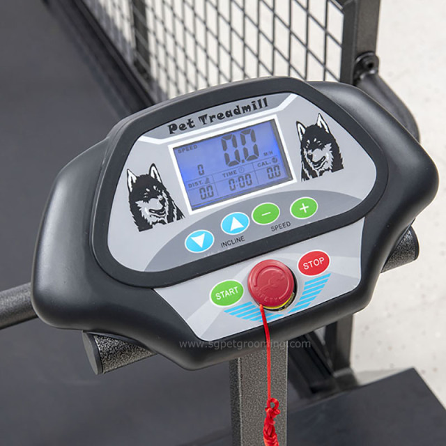 애완동물용 전동 런닝머신 베스트셀러 (한쪽 방향 리프트 기능 포함)
