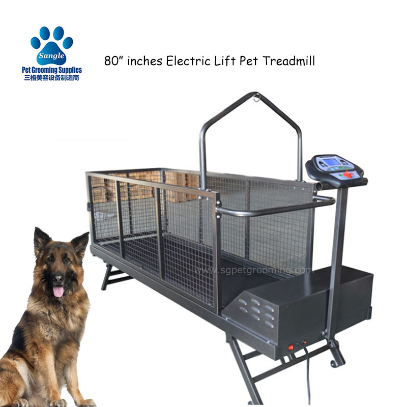 Tapis roulant électrique double face pour grands chiens de 80 pouces