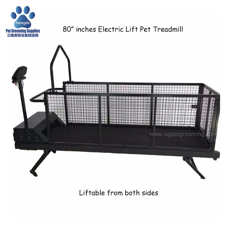 Tapis roulant électrique double face pour grands chiens de 80 pouces
