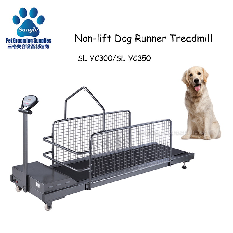 Tapis roulant per animali domestici senza sollevamento per l'addestramento dei cani