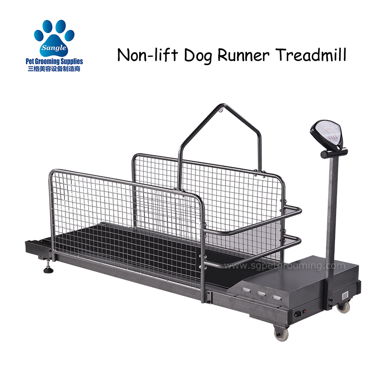 Tapis roulant per animali domestici senza sollevamento per l'addestramento dei cani