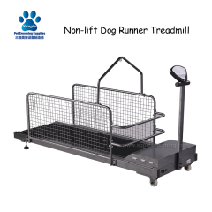 Беговая дорожка без подъема для дрессировки собак.