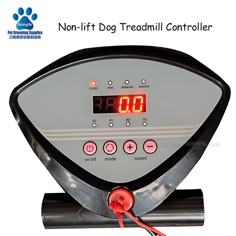 Tapis roulant per animali domestici senza sollevamento per l'addestramento dei cani