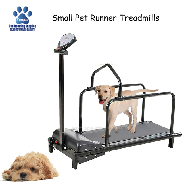 Treadmill Larian Haiwan Peliharaan Kecil Untuk Latihan