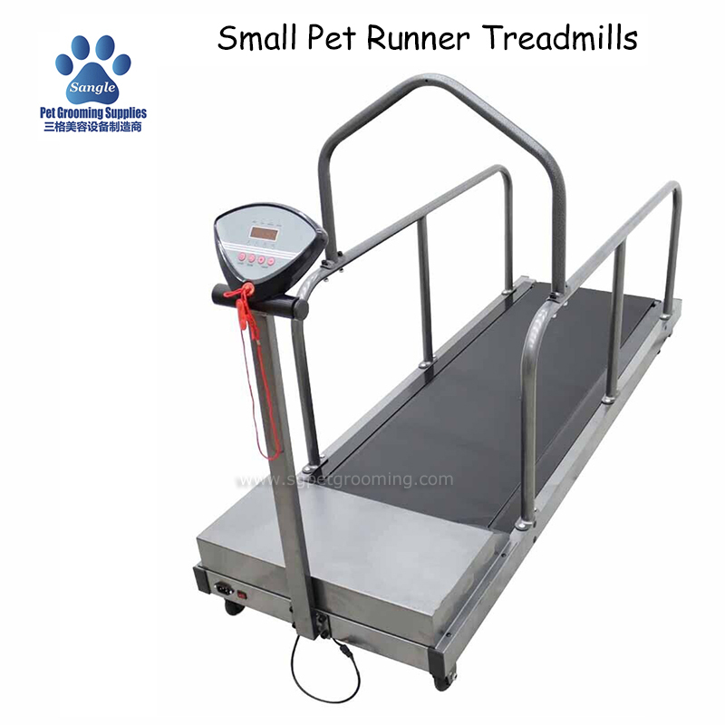 Cintas de correr para entrenamiento de mascotas pequeñas