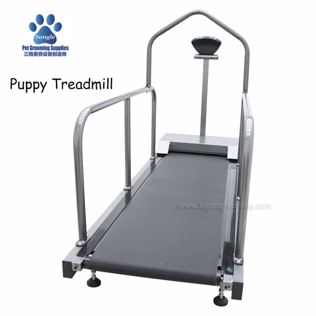 Treadmill Larian Haiwan Peliharaan Kecil Untuk Latihan