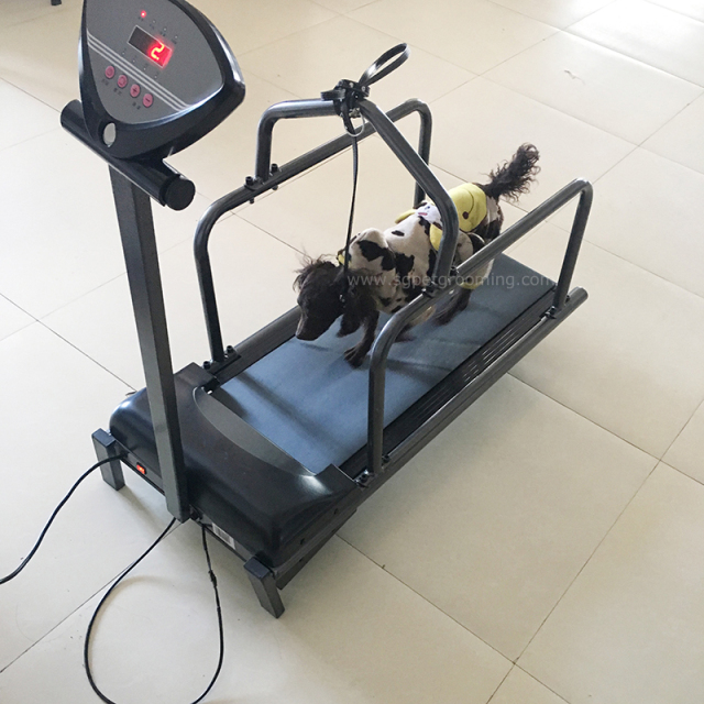 Treadmill Larian Haiwan Peliharaan Kecil Untuk Latihan