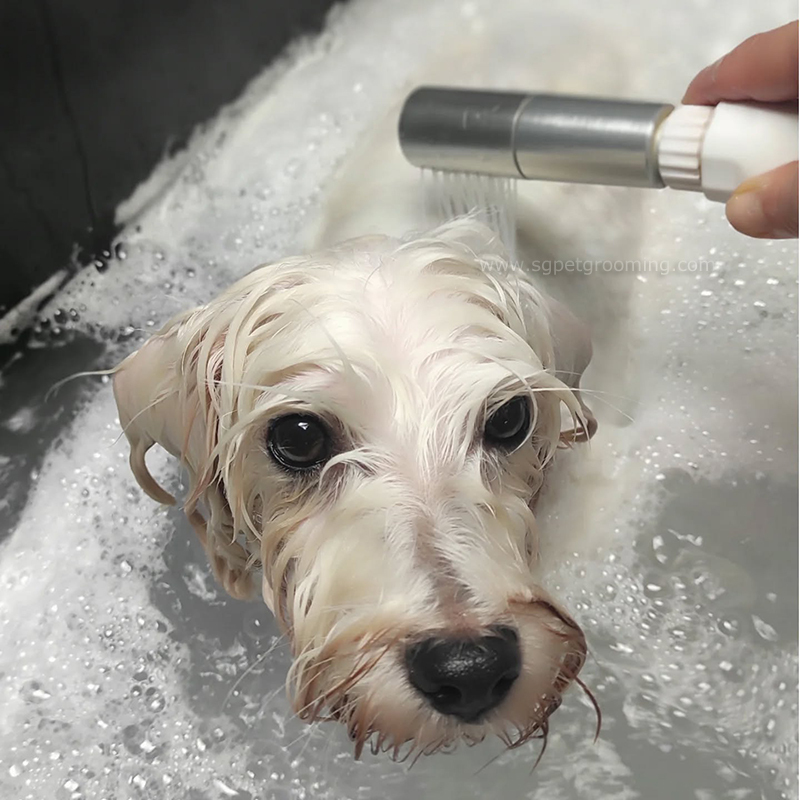 Máquina popular de spa com gerador de microbolhas para banho de leite MS150
