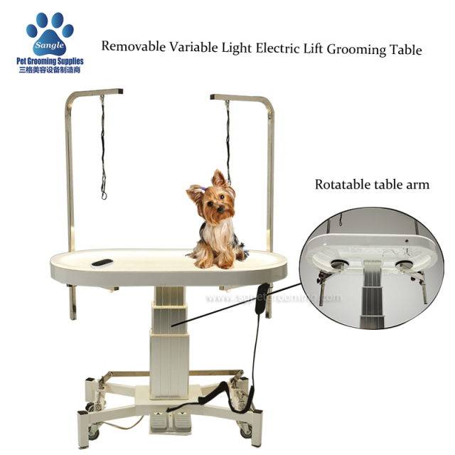 48inches Large Variable light Electric Lift Grooming Table For pets