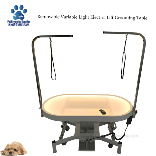 48inches Large Variable light Electric Lift Grooming Table For pets