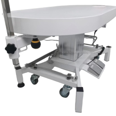 48inches Large Variable light Electric Lift Grooming Table For pets