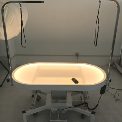 48inches Large Variable light Electric Lift Grooming Table For pets