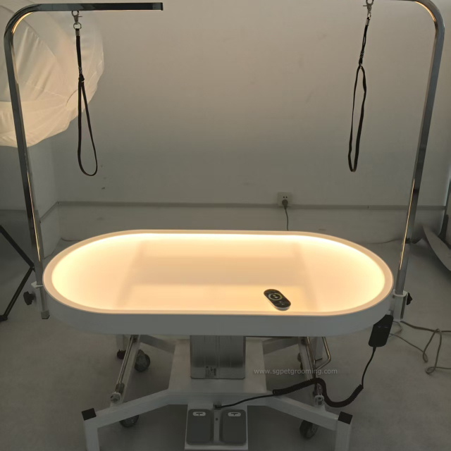 48inches Large Variable light Electric Lift Grooming Table For pets