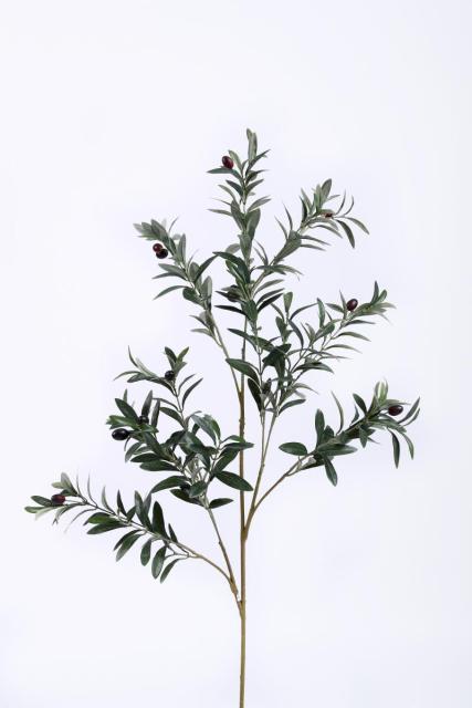 Olive Fruit Single Stem
