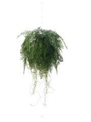Artificial Fern Hanging Ball