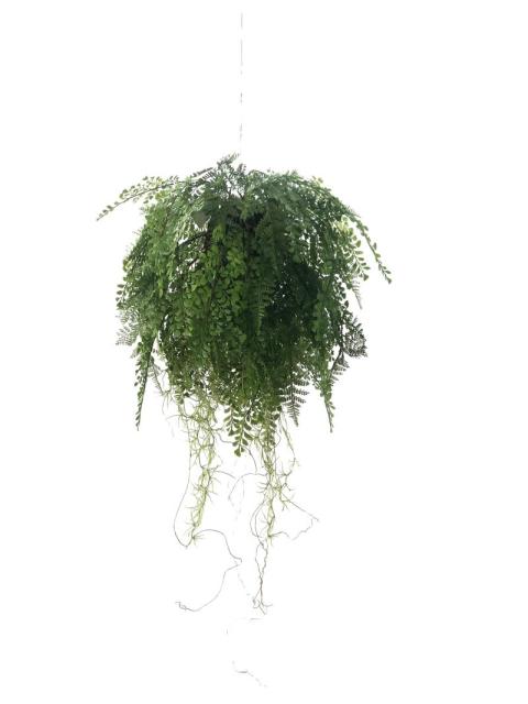 Artificial Fern Hanging Ball
