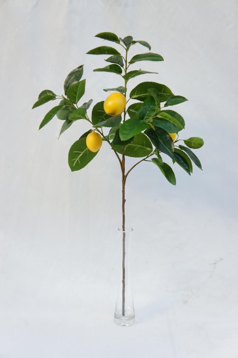 Lemon Fruit Single Stem