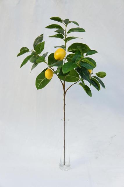 Lemon Fruit Single Stem
