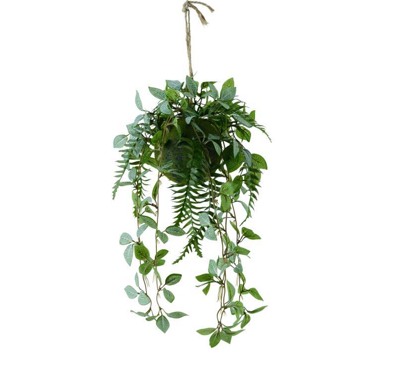 Golden Pothos Hanging Pendant