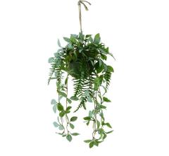 Golden Pothos Hanging Pendant