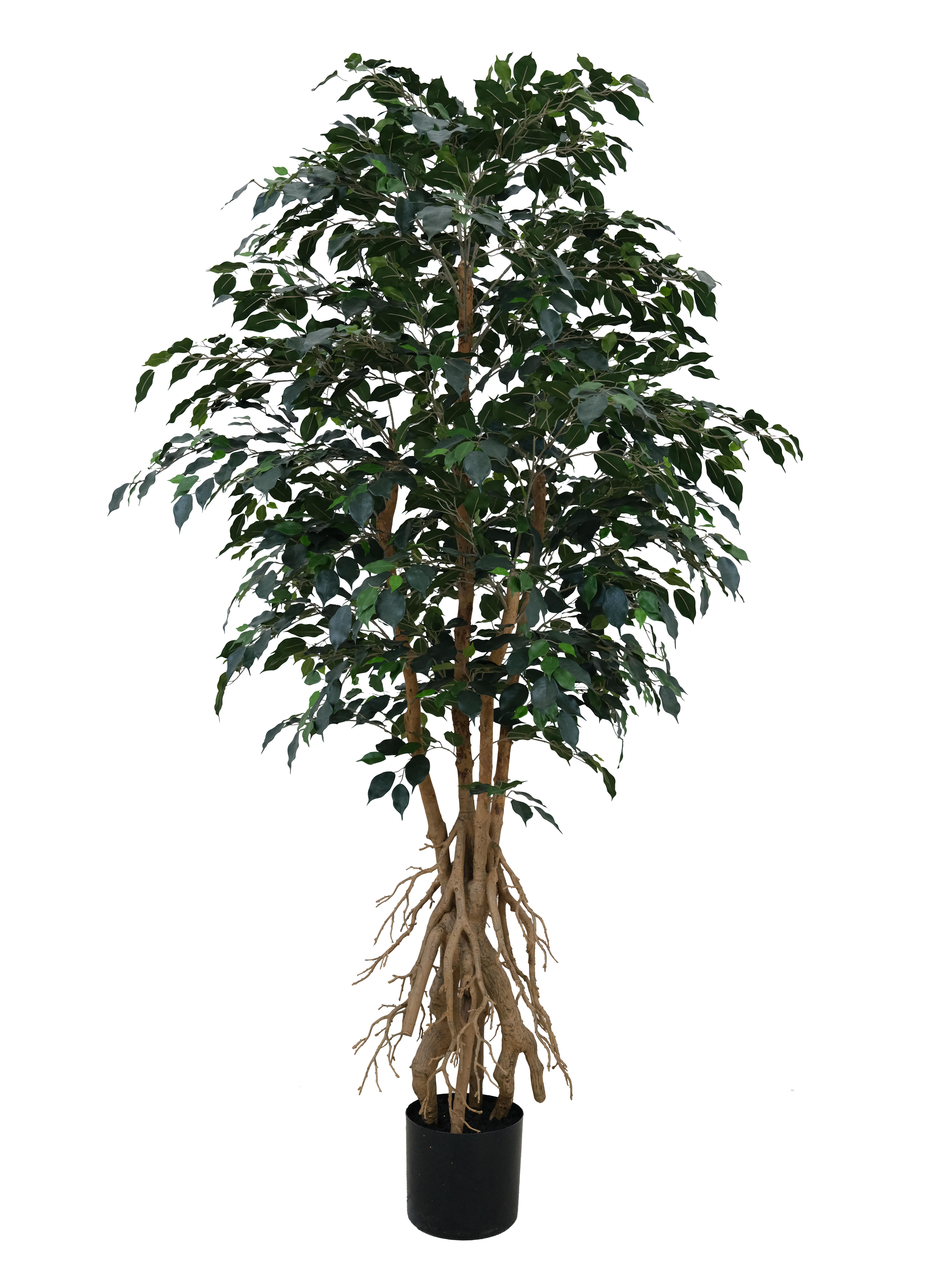 Artificial Ficus Tree