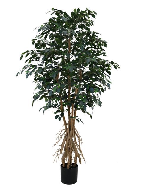 Artificial Ficus Tree
