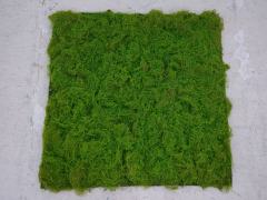 Artificial Curly Moss Turf